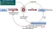 A model for fresh produce with inflation induced dynamic demand under dynamic trade credit policy in imprecise environments