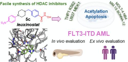 Development of Epigenetic Modifiers with Therapeutic Potential in FMS-Related Tyrosine Kinase 3/Internal Tandem Duplication (FLT3/ITD) Acute Myeloid Leukemia and Other Blood Malignancies