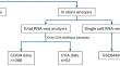 Correlation of LLT-1 and NLRC4 inflammasome and its effect on glioblastoma prognosis.