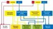 Universal framework for assessing the environmental impact of marine non-indigenous species in different situations of data availability