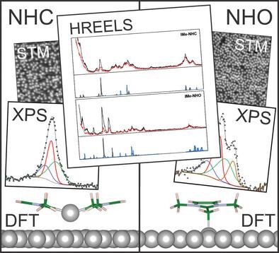 N‐Heterocyclic Olefins on a Metallic Surface – Adsorption, Orientation, and Electronic Influence