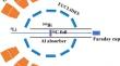 One-neutron stripping process in the 209Bi(6Li, 5Li)210Bi* reaction reaction