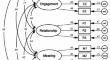 Multidimensional Measure of Well-Being, Translation, Factor Structure, Measurement Invariance, Reliability and Validity of the PERMA-Profiler in Spain