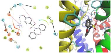 N-Sulfonylphenoxazines as neuronal calcium ion channel blockers†