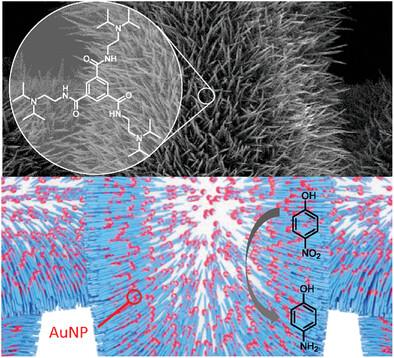 Controlled Surface Decoration with Functional Supramolecular Nanofibers by Physical Vapor Deposition