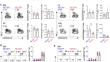 DNA demethylase Tet2 promotes the terminal maturation of natural killer cells.