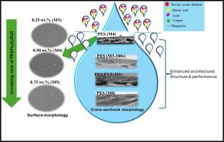 Optimizing influential phase separation parameters on polyethersulfone/ Fe3O4/ZnO membranes for environmental wastewater