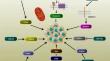 Highlighting the role of long non-coding RNA (LncRNA) in multiple myeloma (MM) pathogenesis and response to therapy.