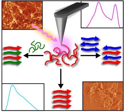 Heterotypic Seeding Generates Mixed Amyloid Polymorphs