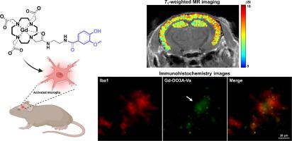 Microglial activation-sensitive gadolinium complex as a potential MRI contrast agent for Alzheimer’s disease diagnosis