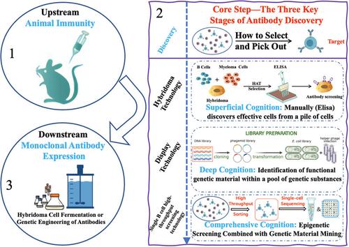 The challenges and breakthroughs in the development of diagnostic monoclonal antibodies