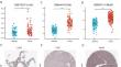 Comprehensive pan-cancer analysis reveals that C5orf34 regulates the proliferation and mortality of lung cancer