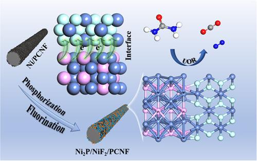 Carbon fiber confined mixed Ni‐based crystal phases with interfacial charge redistribution induced by high bond polarity for electrochemical urea‐assisted hydrogen generation