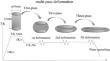 Effect of Mn Contents on Microstructure Evolution and Recrystallization Behavior of 18.5 Pct Cr Low-Nickel Type Duplex Stainless Steel During Multi-pass Hot Compression