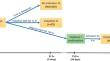 Exploring the molecular basis of diapause I induction in the annual killifish Garcialebias charrua: a transcriptomic approach