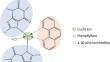 Unveiling the antifungal mechanisms of CTP, a new copper(II)-theophylline/1,10-phenanthroline complex, on drug-resistant non-albicans Candida species.