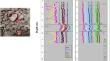 Comparison of Microwave and Conventional Roasting in the Leaching of Rare Earth Elements, V, Ni, and Li from Polymetallic Black Shale