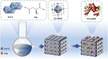 Kinetic and stability studies of amino acid metal-organic frameworks for encapsulating of amino acid dehydrogenase