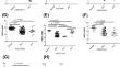 High Fatty Acid-Binding Protein 4 Expression Associated with Favorable Clinical Characteristics and Prognosis in Papillary Thyroid Carcinoma.