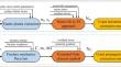 A numerical model for total bending fatigue life estimation of carburized spur gears considering the hardness gradient and residual stress