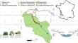 Decametric-scale buffering of climate extremes in forest understory within a riparian microrefugia: the key role of microtopography.