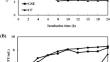 Antimicrobial effect of combined preservatives using chestnut inner shell, cinnamon, and ε-poly-lysine against food-poisoning bacteria Staphylococcus aureus