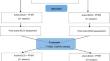 Acute Effect of Transcranial Direct Current Stimulation in Pelvic Floor Muscle Function in Young Healthy Women: Initial Findings of a Randomized Controlled Trial.