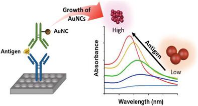 Growth-Induced Extinction Development of Gold Nanoclusters as Signal Transducers for Quantitative Immunoassays