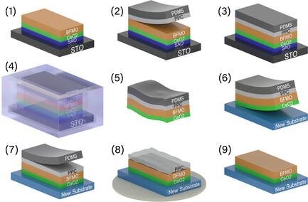 Large Area Transfer of Bismuth-Based Layered Oxide Thin Films Using a Flexible Polymer Transfer Method