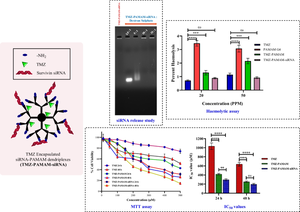 Development and characterization of temozolomide-PAMAM-siRNA dendriplexes for the effective management of glioblastoma multiforme