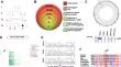 Severe Combined Immunodeficiency from a Homozygous DNA Ligase 1 Mutant with Reduced Catalytic Activity but Increased Ligation Fidelity.