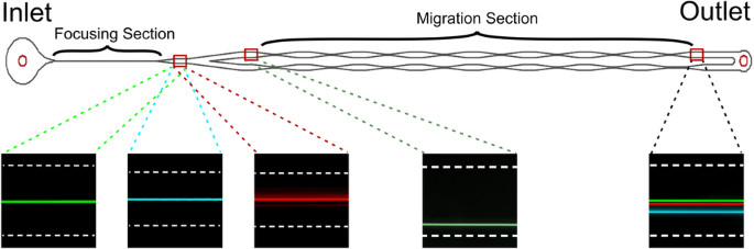 Elasto-inertial focusing and particle migration in high aspect ratio microchannels for high-throughput separation.