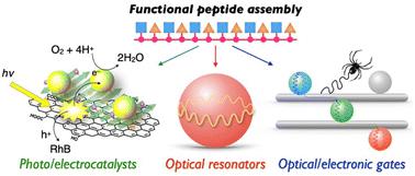 Functional oligo- and polypeptide assemblies for photochemical, optical and electronic applications