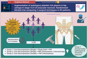 Augmentation of Autologous Platelet-Rich Plasma in Hip Salvage in Stages I and II of Avascular Necrosis: Randomized Blinded Trial Comparing 3 Surgical Techniques in 82 Patients