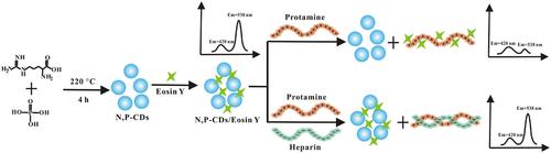 Ratiometric fluorescence sensor for protamine and heparin based on N,P-doped carbon dots and Eosin Y