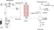 Simulating the coal tar hydrodeoxygenation reaction process based on three perspectives: deoxygenation, hydrogenation, and cracking