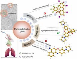 Investigating the influence of particle hydrophobicity on lung deposition using nonionic dye partitioning