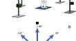 Muscle synergies for multidirectional isometric force generation during maintenance of upright standing posture.