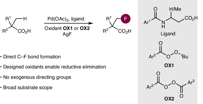 Pd-catalysed direct β-C(sp3)–H fluorination of aliphatic carboxylic acids