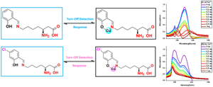 L-Lysine-derived fluorescent salicylidenes: synthesis, characterization and turn-off Cu2+ and Co2+ selective cation sensing