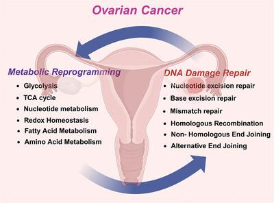 Interplay between altered metabolism and DNA damage and repair in ovarian cancer