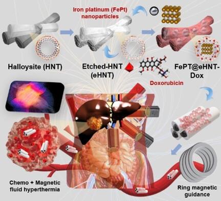 Magnetically Guided Theranostics: Novel Nanotubular Magnetic Resonance Imaging Contrast System Using Halloysite Nanotubes Embedded with Iron–Platinum Nanoparticles for Hepatocellular Carcinoma Treatment