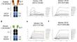 Pre-Clinical Studies of a Novel Bispecific Fusion Protein Targeting C3b and VEGF in Neovascular and Nonexudative AMD Models.