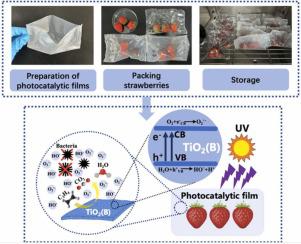 Photocatalytic films with high ethylene degradation efficiency for strawberry preservation