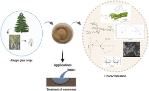 Elaboration of an innovative plant biomaterial for its valorization in the treatment of wastewater.