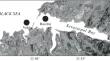 Long-Term Dynamics of Phytoplankton Parameters and Water Temperature in the Area of Sevastopol (Black Sea)