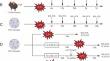 Silencing CXCL16 alleviate neuroinflammation and M1 microglial polarization in mouse brain hemorrhage model and BV2 cell model through PI3K/AKT pathway.