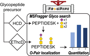 Quantitative proteome-wide O-glycoproteomics analysis with FragPipe