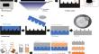 Multifunctional Microneedle Patch with Diphlorethohydroxycarmalol for Potential Wound Dressing.