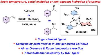 A sugar-derived ligand for room temperature aerial oxidation or non-aqueous Markovnikov hydration of styrenes using a preformed or in situ generated Co complex†